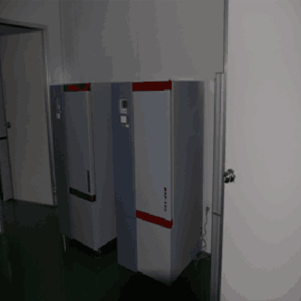 Business Environment